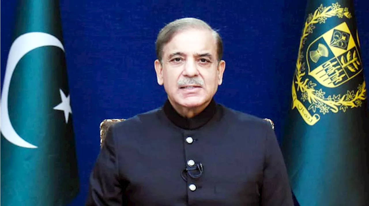 Message of Prime Minister Muhammad Shehbaz Sharif on 'National Resilience Day'