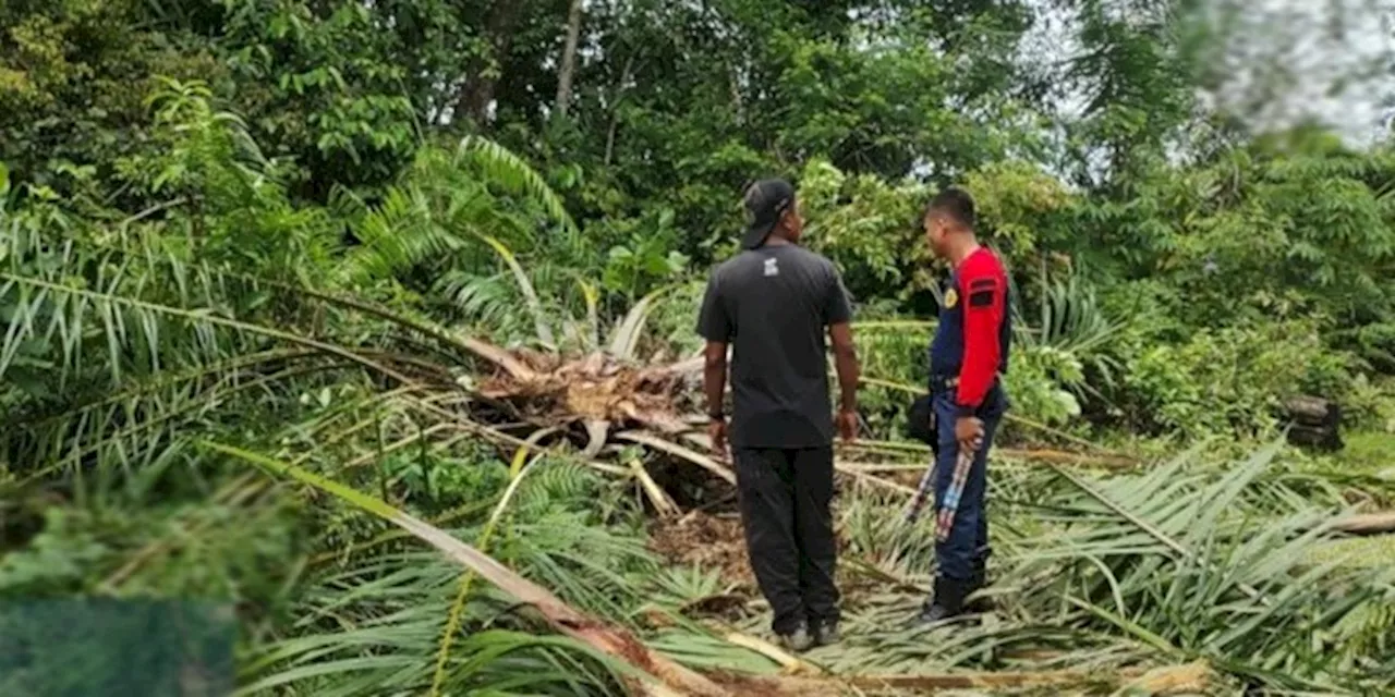 BPBD Aceh Barat Turunkan Tim WRU Tangani Gajah Liar