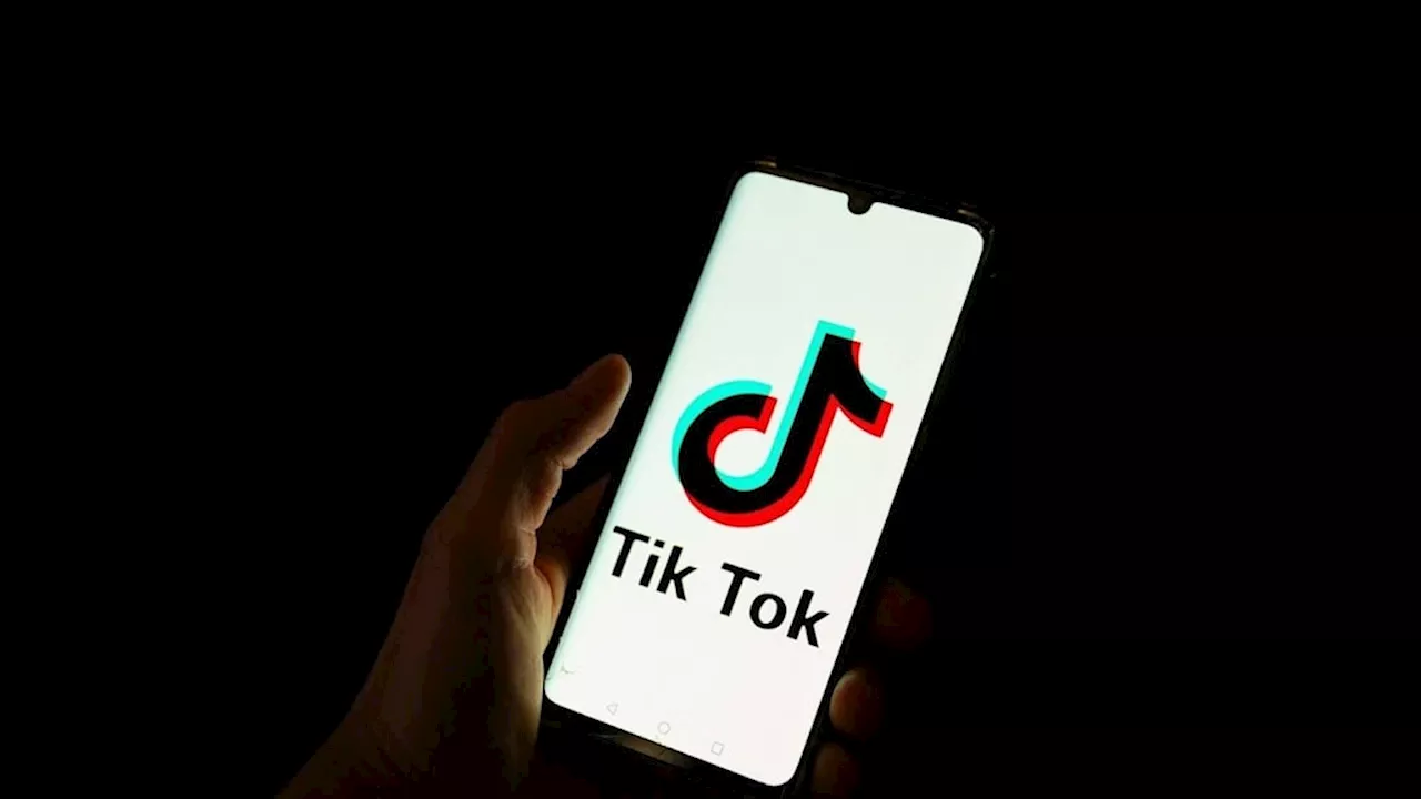 Amerikaanse staten betichten TikTok van schaden kinderen