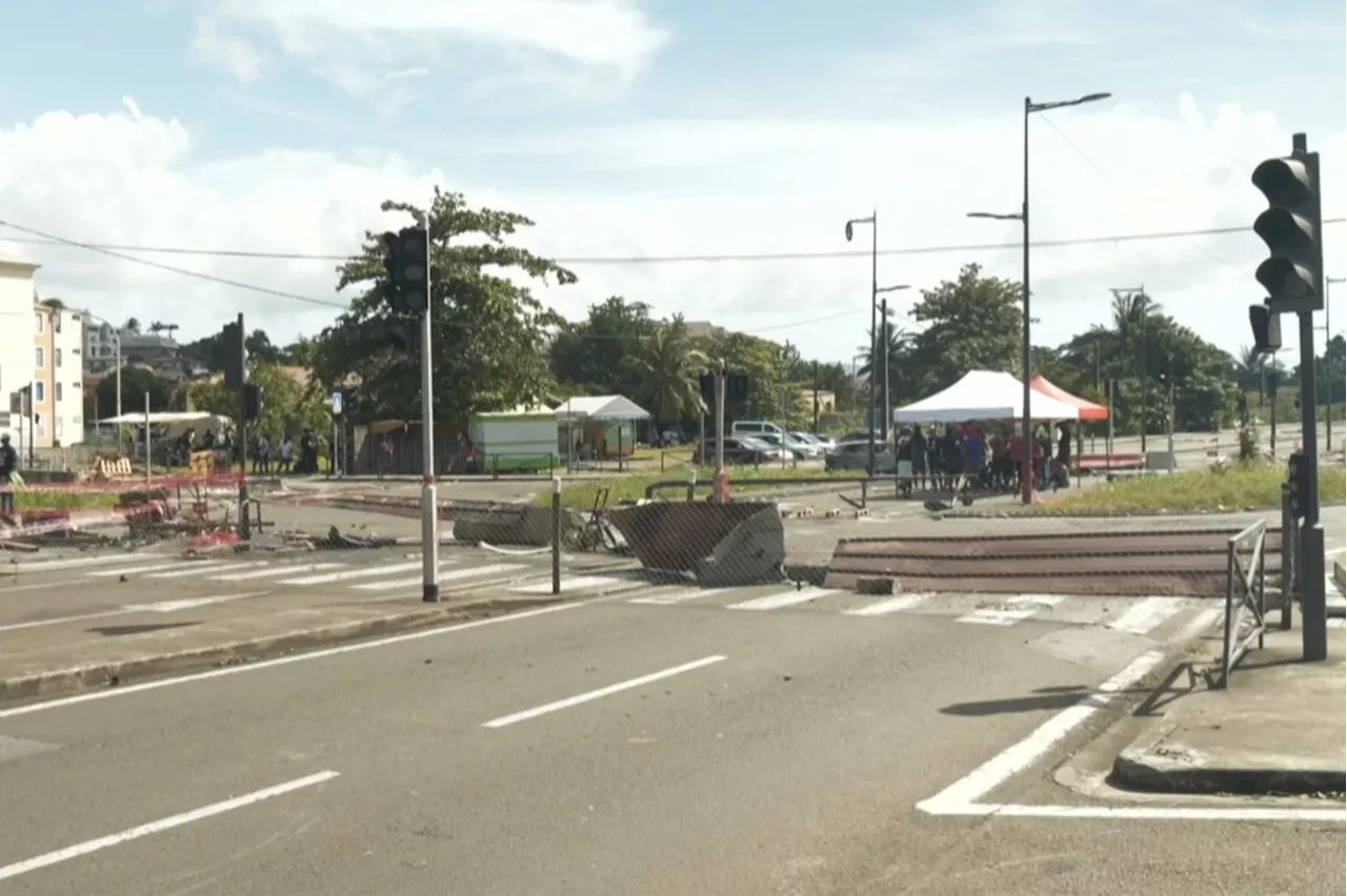 Vie chère en Martinique : 11 policiers blessés lors d'affrontements avec des manifestants