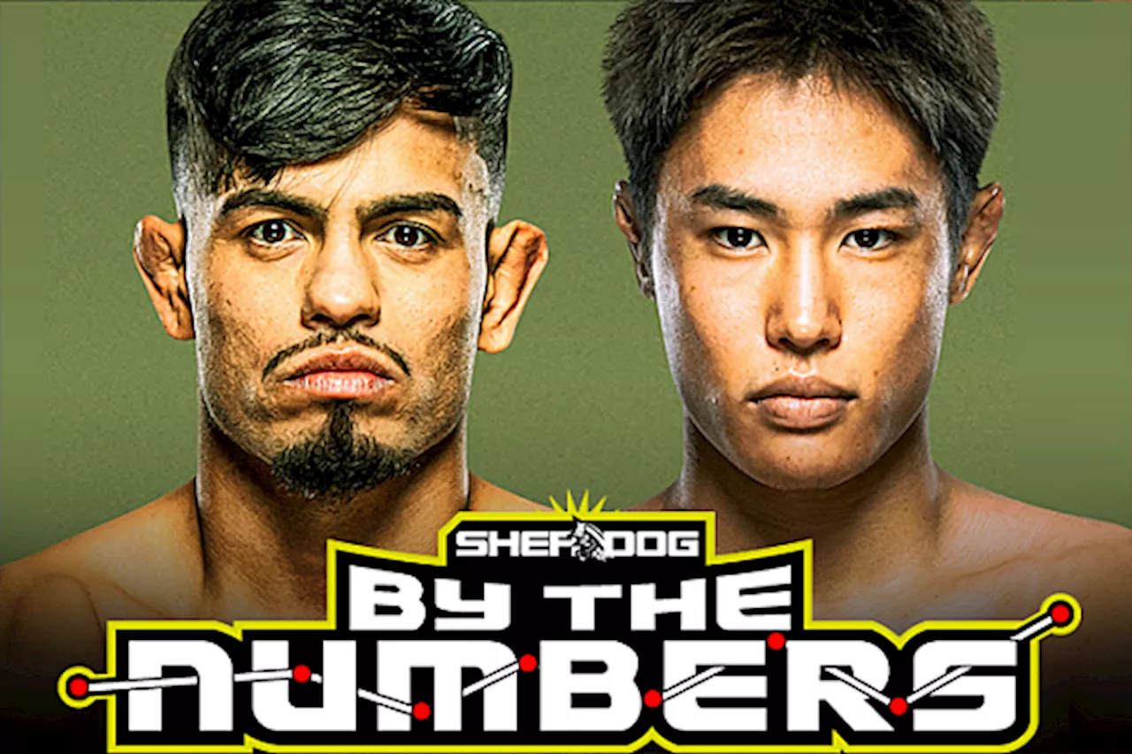 By The Numbers: Brandon Royval vs. Tatsuro Taira