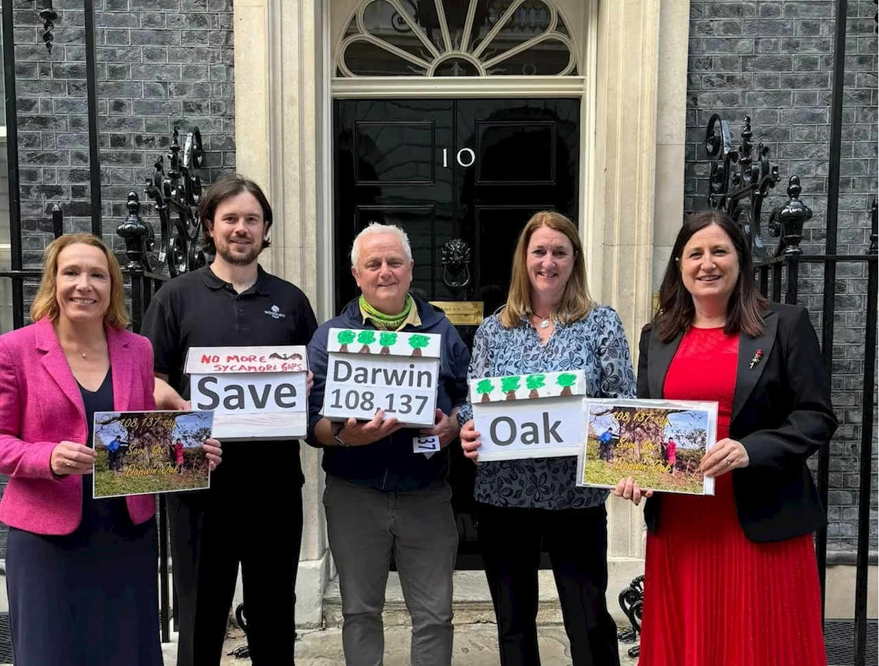 Petition to save Shrewsbury's 550-year-old 'Darwin Oak' handed to Downing Street