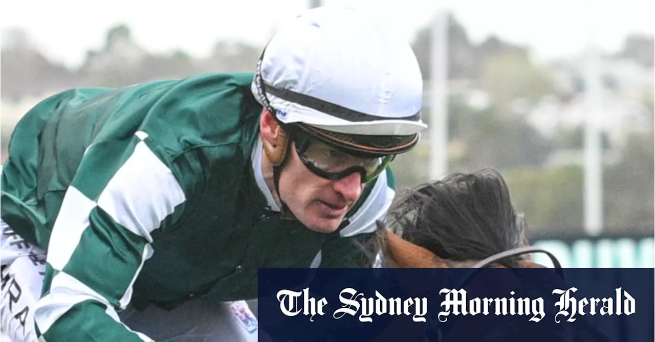 ‘We don’t know how high he could go’: McEvoy’s growing Everest empire