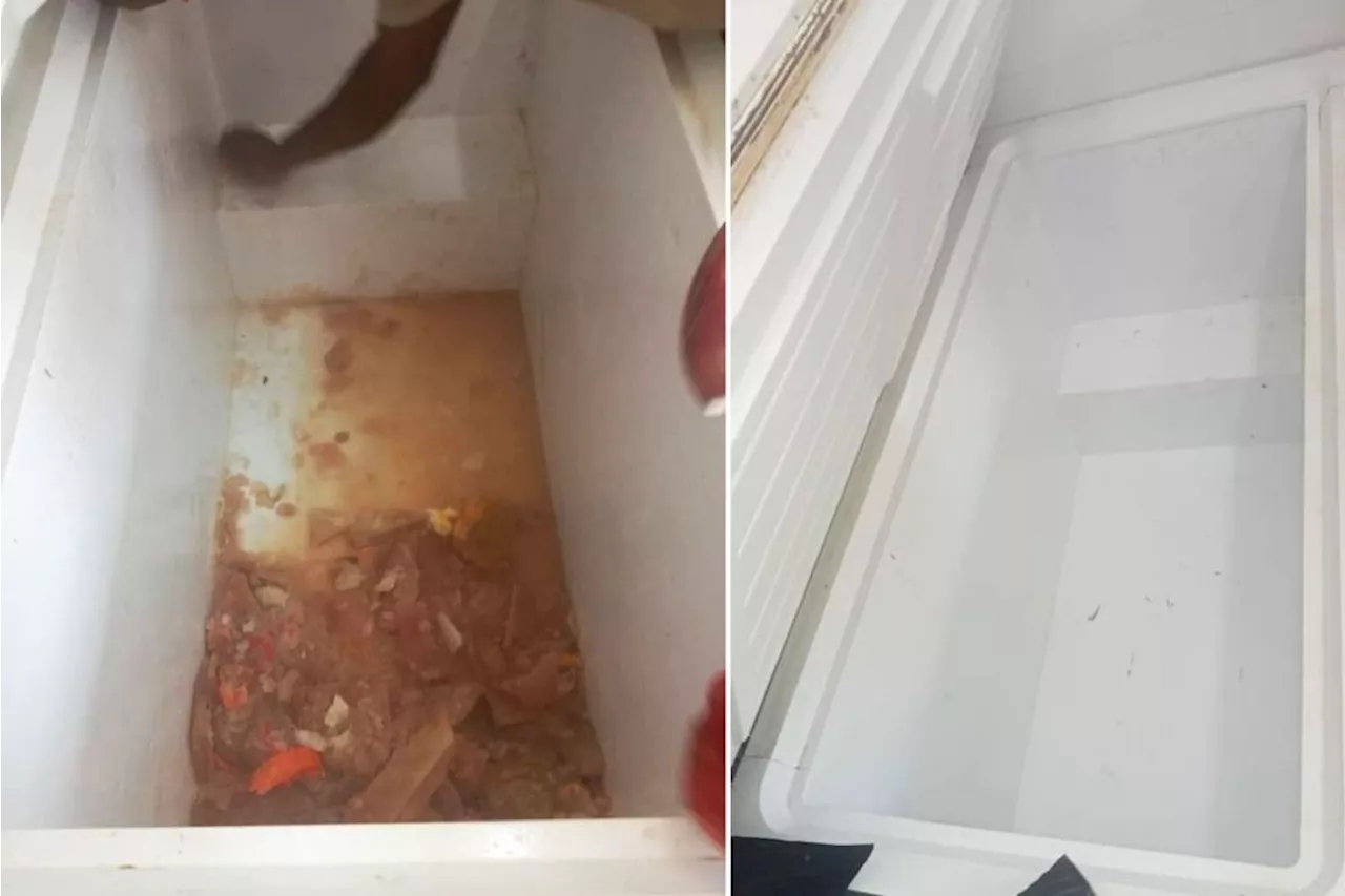 Blood-stained ice washed down drain, not 'frozen meat', says eatery