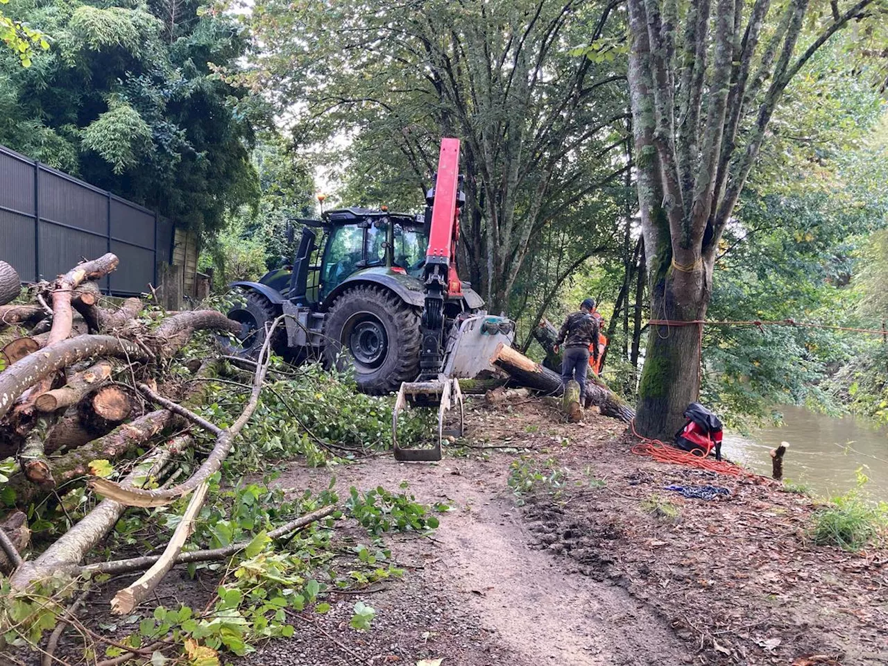 « Cela nous coûte de couper des arbres » : à Mont-de-Marsan, dans les coulisses des travaux du chemin de halage