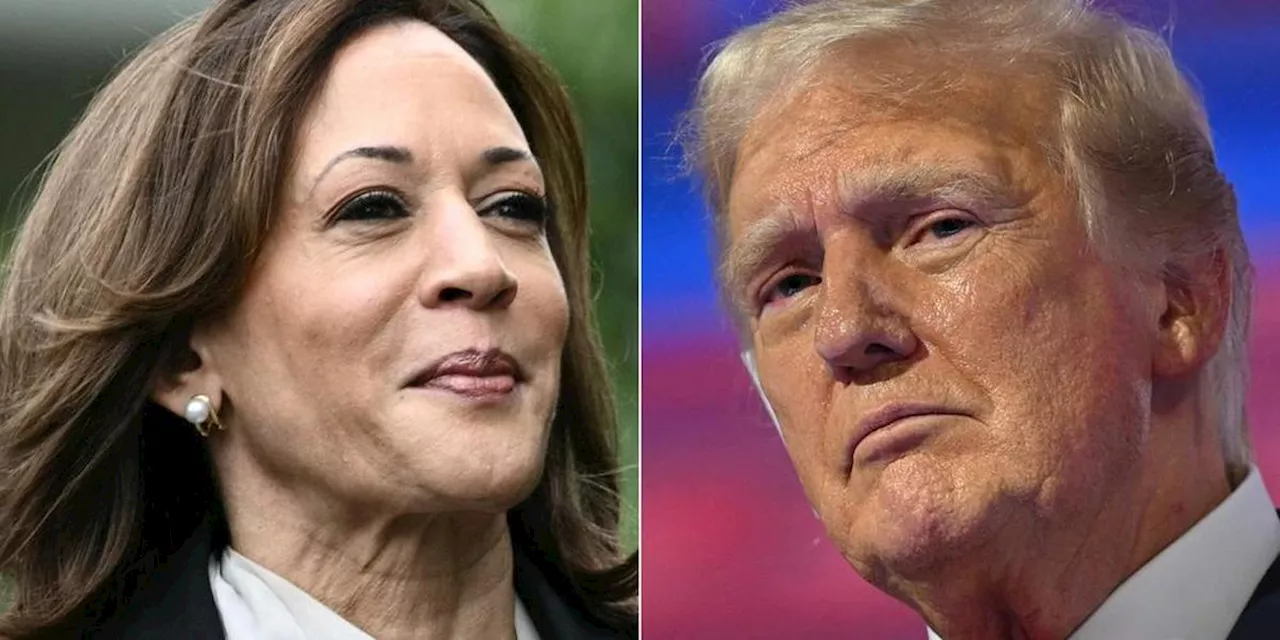 Élection américaine : Kamala Harris passe devant Donald Trump dans un sondage du New York Times