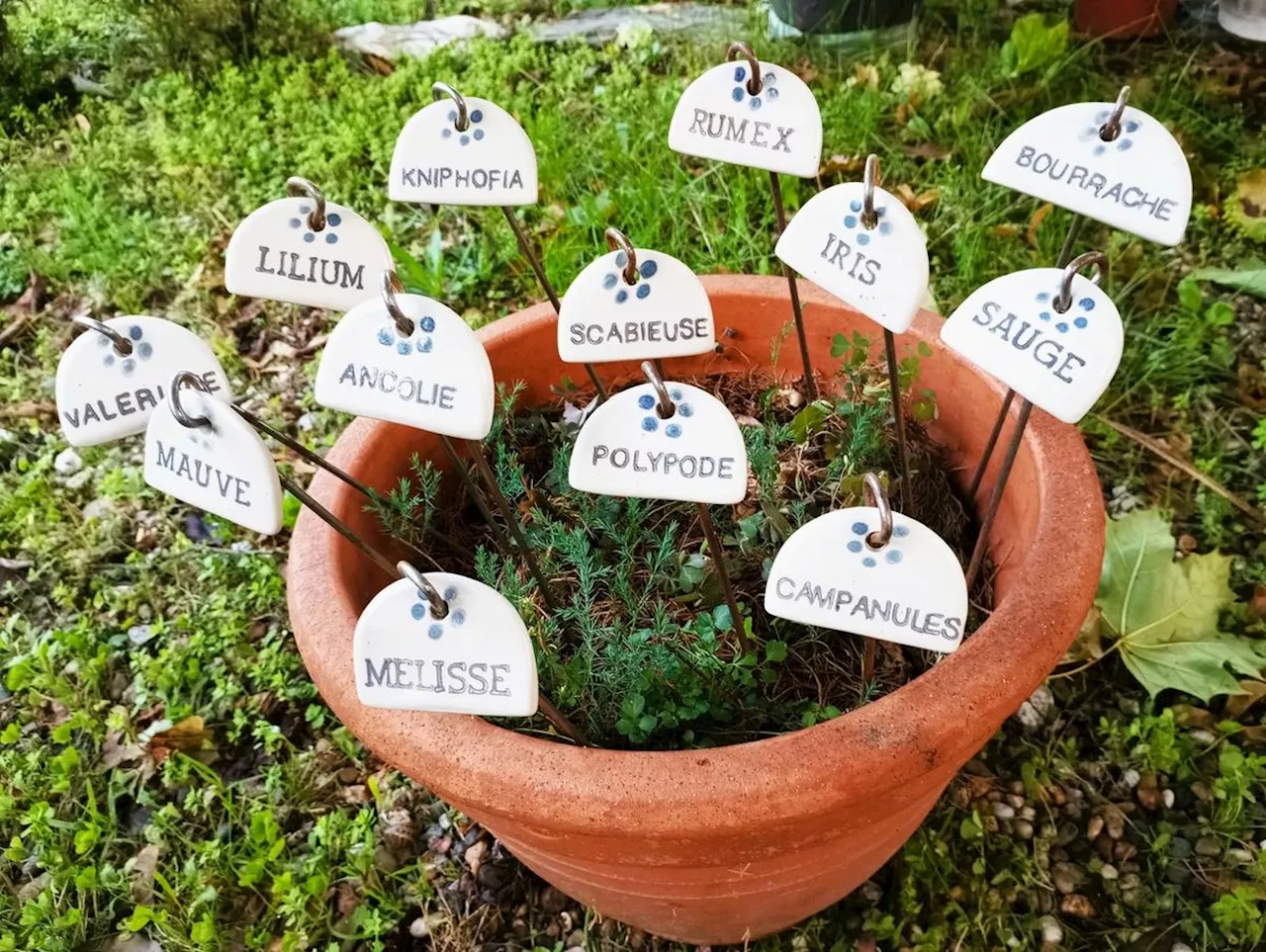 Saint-Colomb-de-Lauzun : les enfants animeront le troc aux plantes