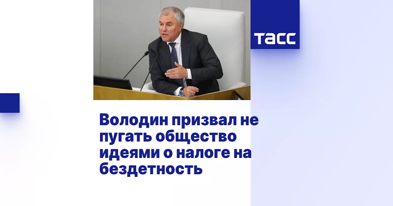 Володин призвал не пугать общество идеями о налоге на бездетность