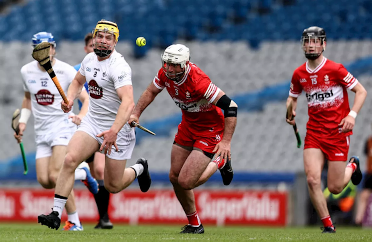 8 counties represented as GAA announce Champion 15 hurling team