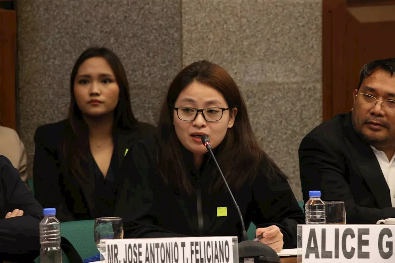 Alice Guo was a Chinese spy, witness tells panel