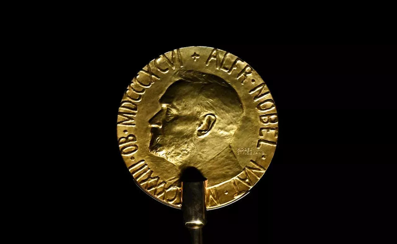 Here Are the Favorites to Win the 2024 Nobel Peace Prize United Kingdom