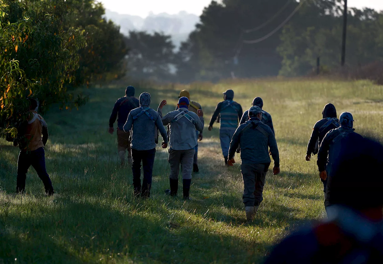 Hit Hard by Hurricane Helene, Georgia’s Farmworkers Struggle to Get Aid