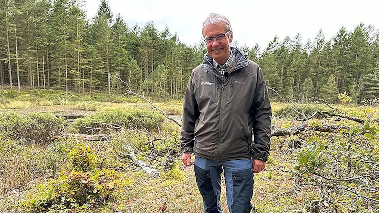 25 år med bævere: Thomas var med, da de blev sat ud