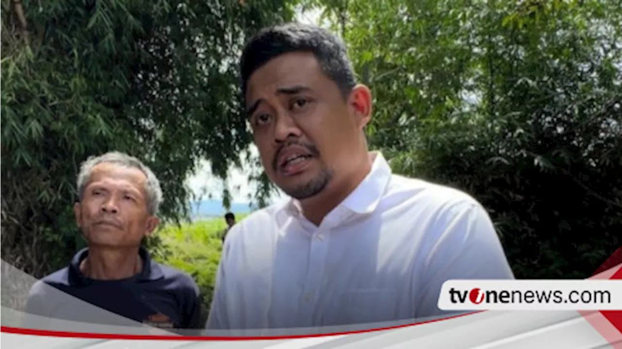 Bobby Nasution Tanggapi Pernyataan Edy Rahmayadi Tentang PDIP Besarkan Anak Harimau