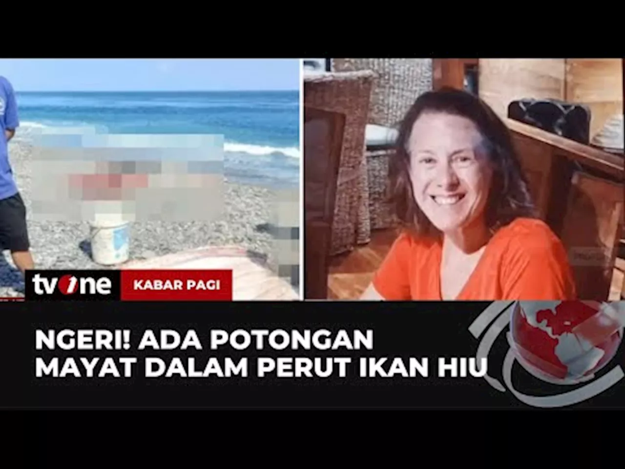 Heboh Penemuan Potongan Jasad Wanita di Perut Ikan Hiu, Diduga Korban Turis AS yang Hilang