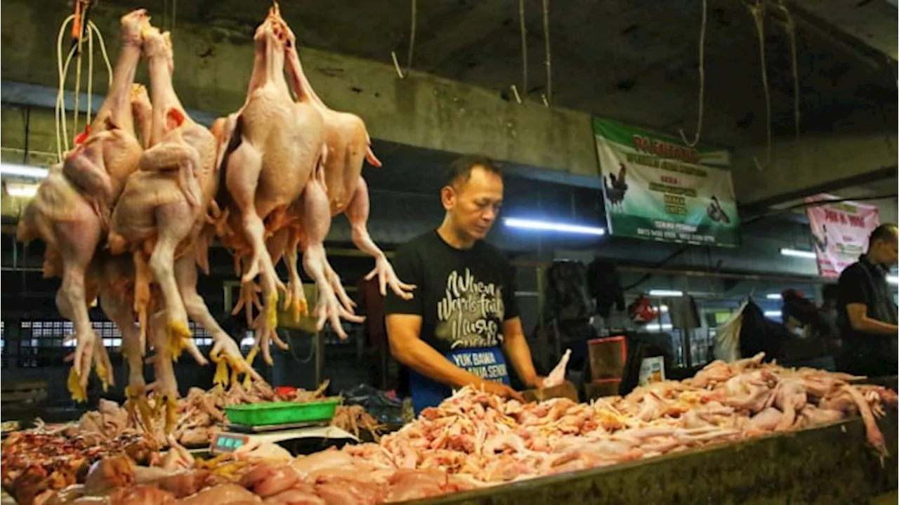 Daftar Harga Pangan 8 Oktober 2024: Bawang Putih hingga Daging Ayam Naik