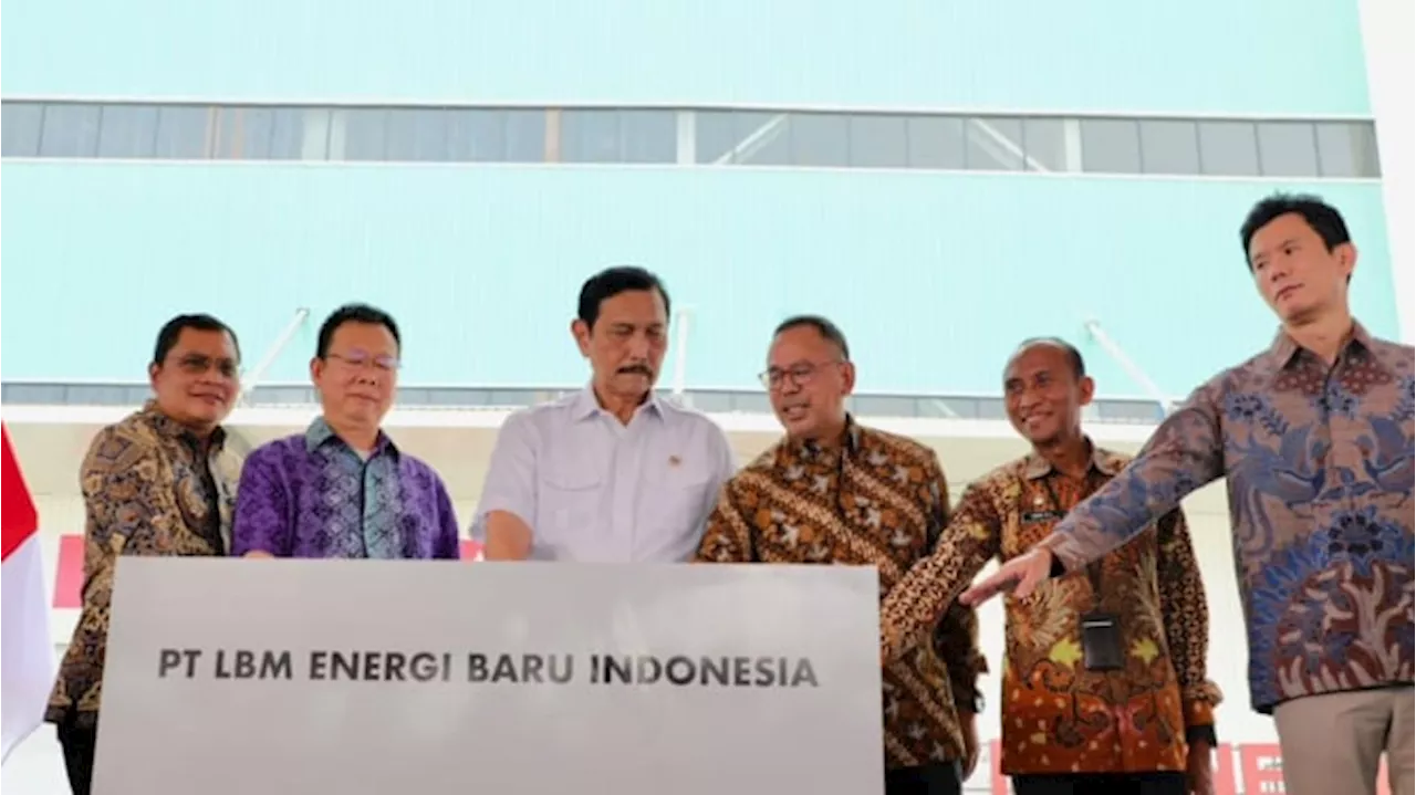 Incar Pasar Baterai Lithium EV Global, Luhut Resmikan Pabrik Katoda LFP di KEK Kendal