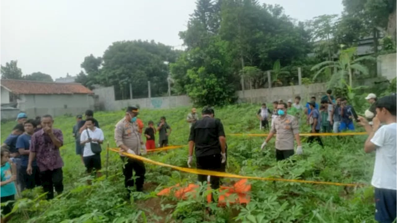 Warga Bogor Temukan Mayat Wanita Membusuk Hanya Pakai Rok dan Bra di Kebun Singkong