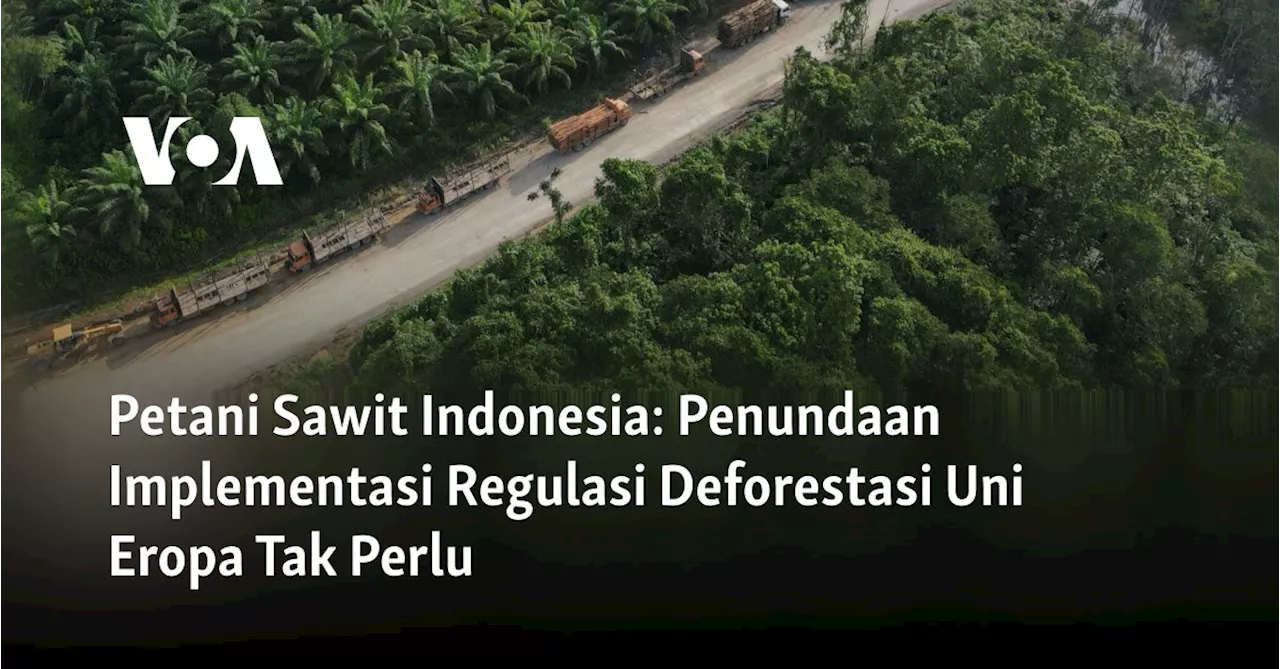 Petani Sawit Indonesia: Penundaan Implementasi Regulasi Deforestasi Uni Eropa Tak Perlu