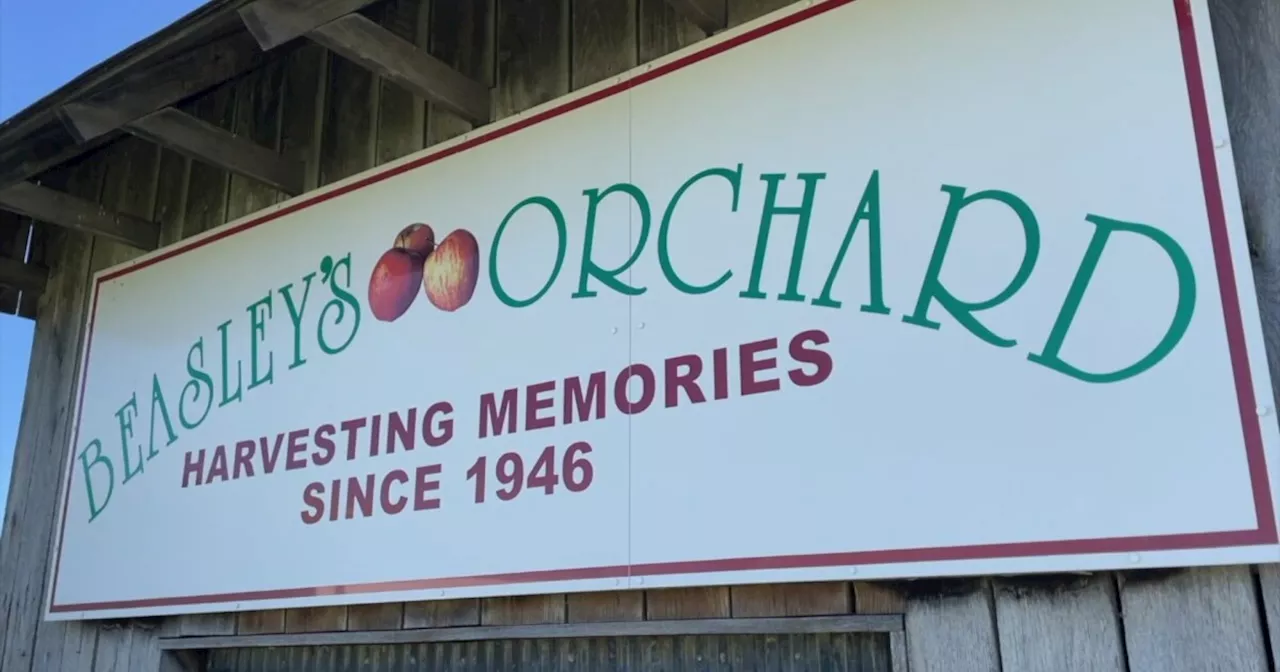 Get a feel for the farm life at Beasley’s Orchard