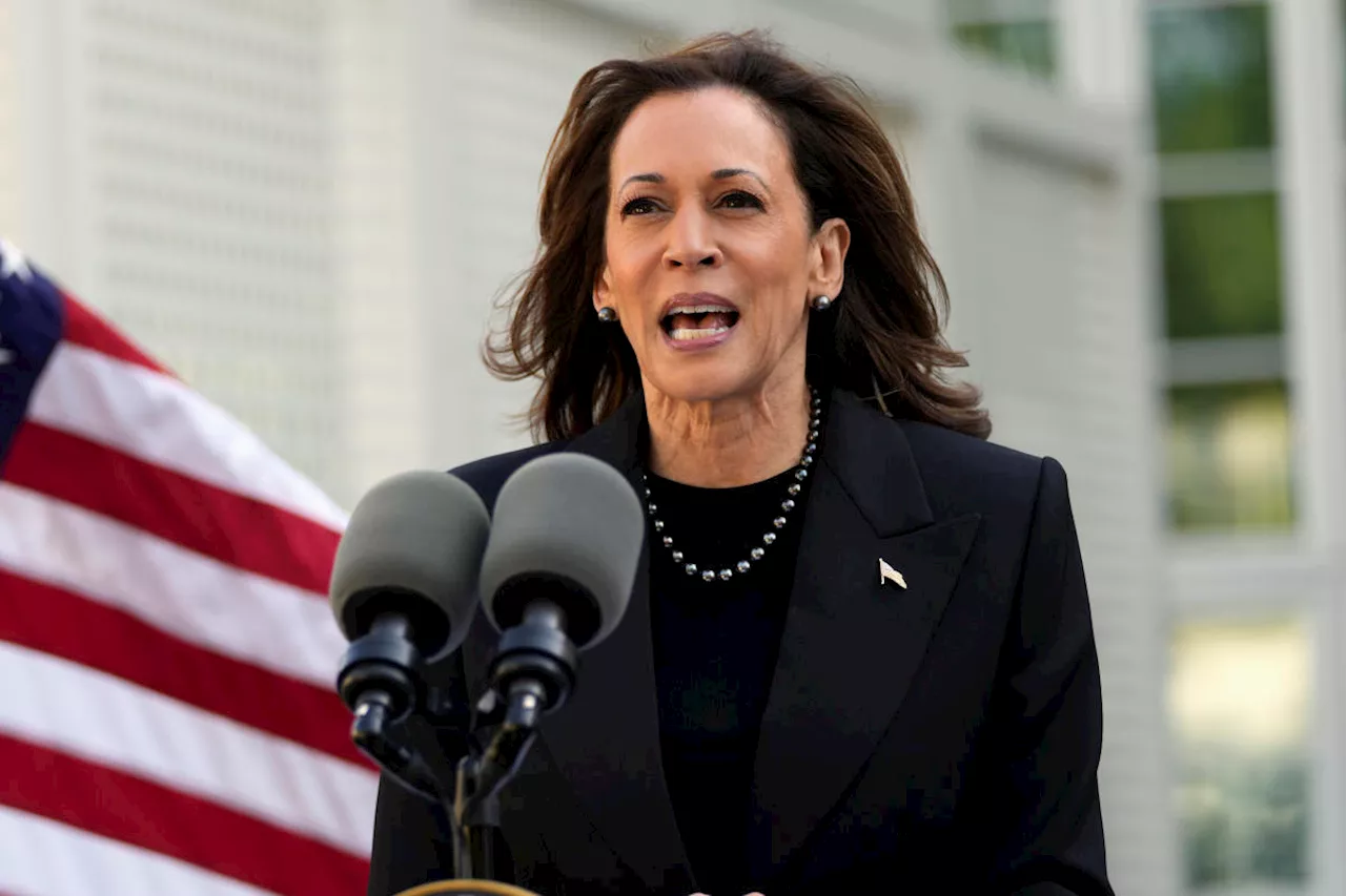 How Kamala Harris's 'care economy' would work