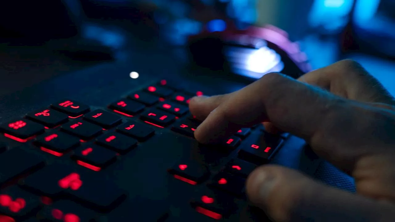 Große kinderpornografische Darknet-Plattform stillgelegt