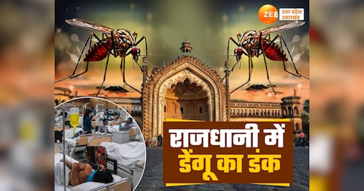 लखनऊ में त्योहारी सीजन में डेंगू ने मचाया आतंक, डेंगू, मलेरिया और चिकनगुनिया के मरीजों की लगातार बढ़ रही संख्या