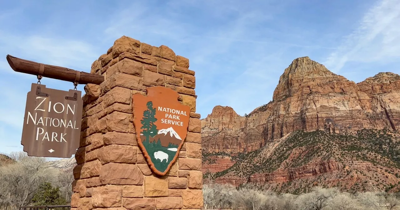 Software company CEO dies after falling 200 feet at Zion National Park