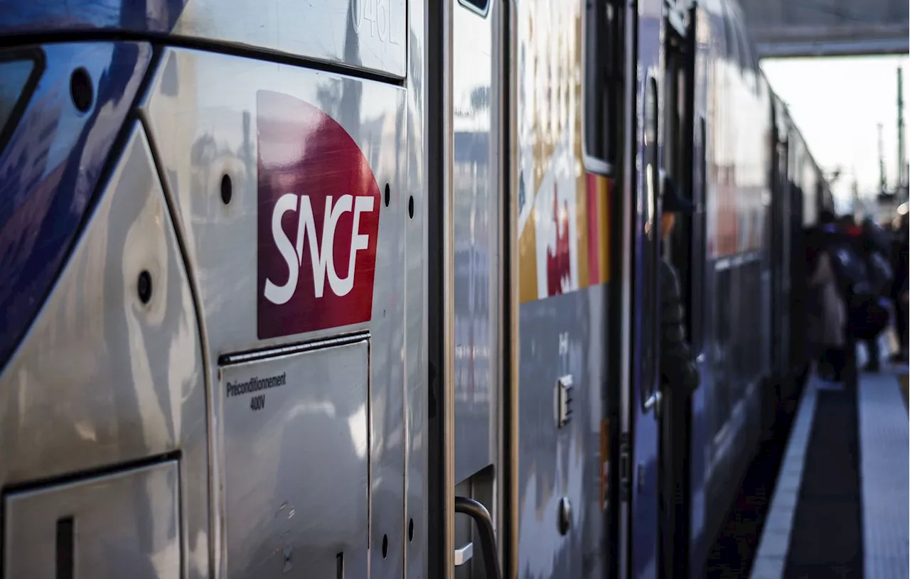 Loire : Après un éboulement, les trains ne circulent plus entre Saint-Etienne et Lyon