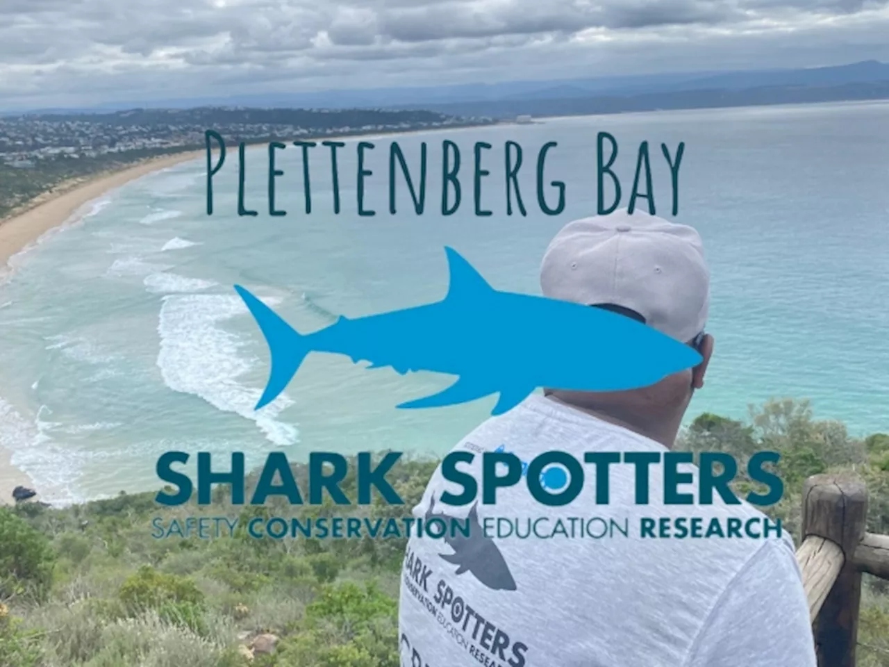 Plett Shark Spotters Report Record Number Of White Sharks In September