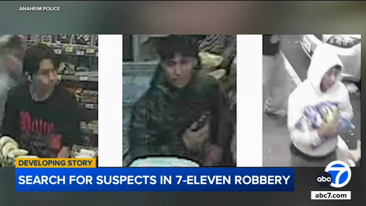 7-Eleven employee severely injured in flash mob robbery caught on video in Anaheim