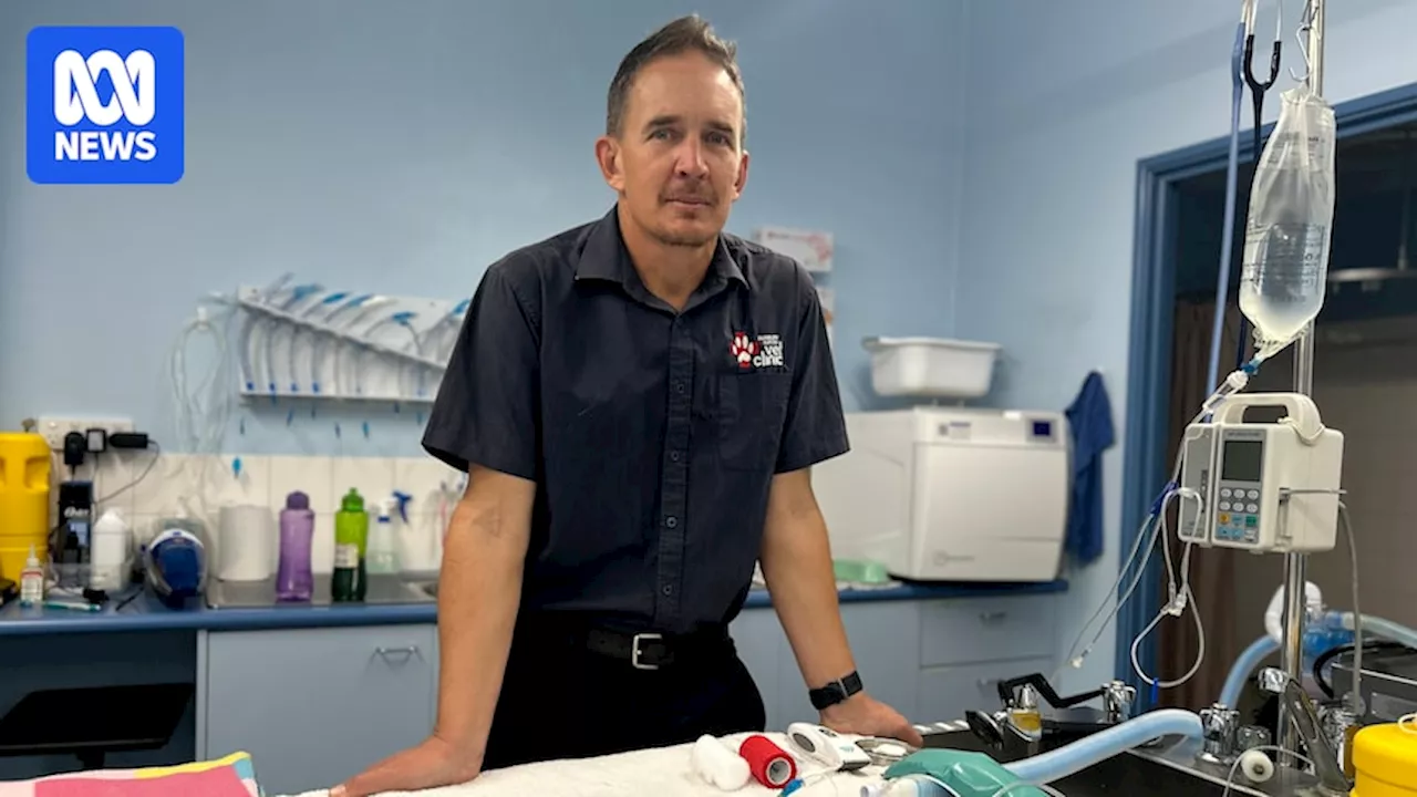 Greater Bunbury vets team up to share after-hours services amid nationwide staff shortage