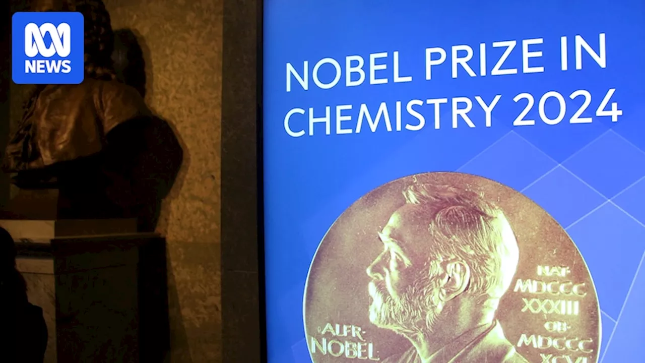 Scientists David Baker, Demis Hassabis and John Jumper win Nobel Prize in Chemistry for work on protein structure