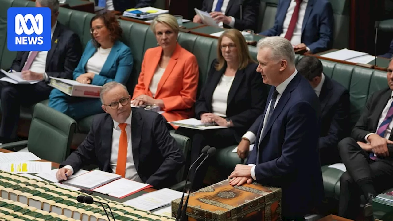 Tony Burke defends security officials amid allegations a Palestinian visa holder has links to Hamas