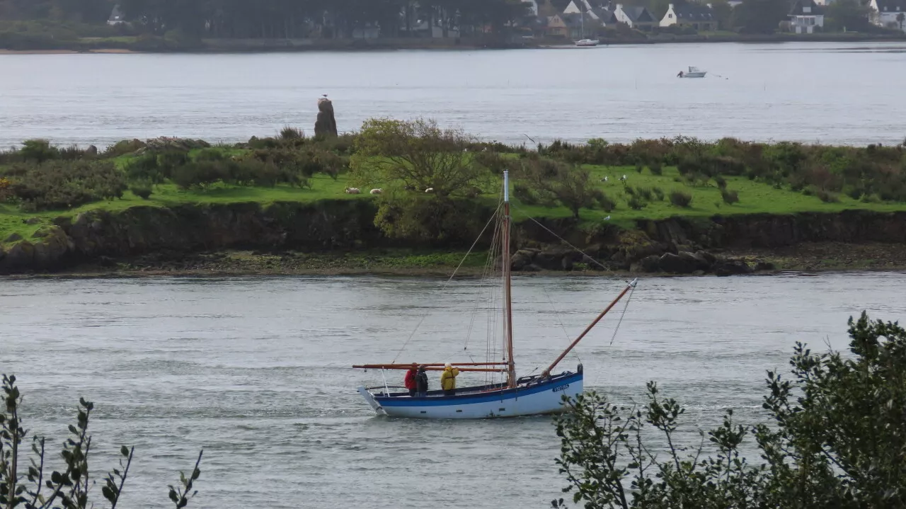 Quelles sont les animations des 10 ans du Parc Naturel Régional du Golfe du Morbihan ?