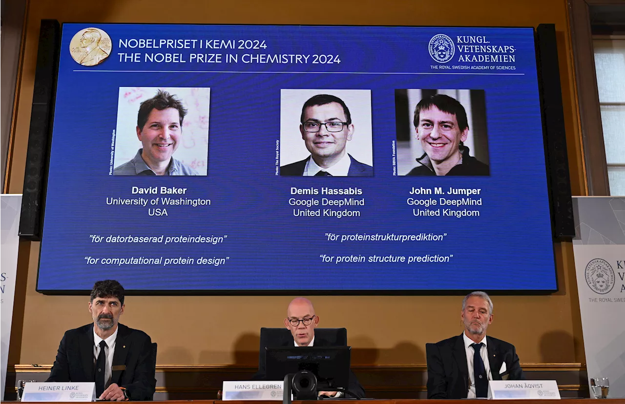 Le 'nuove' proteine al centro del Nobel della Chimica 2024: premiati Baker, Hassabis e Jumper