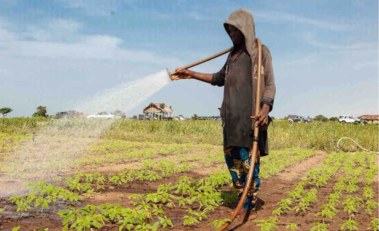  African Development Fund Project Changes Lives in Benin's Ouémé Valley