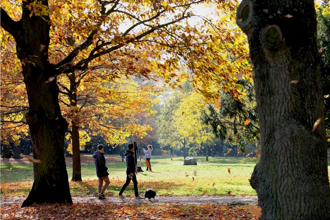 Volkspark Hasenheide in Berlin: Projekt will Park retten und Groß und Klein begeistern﻿