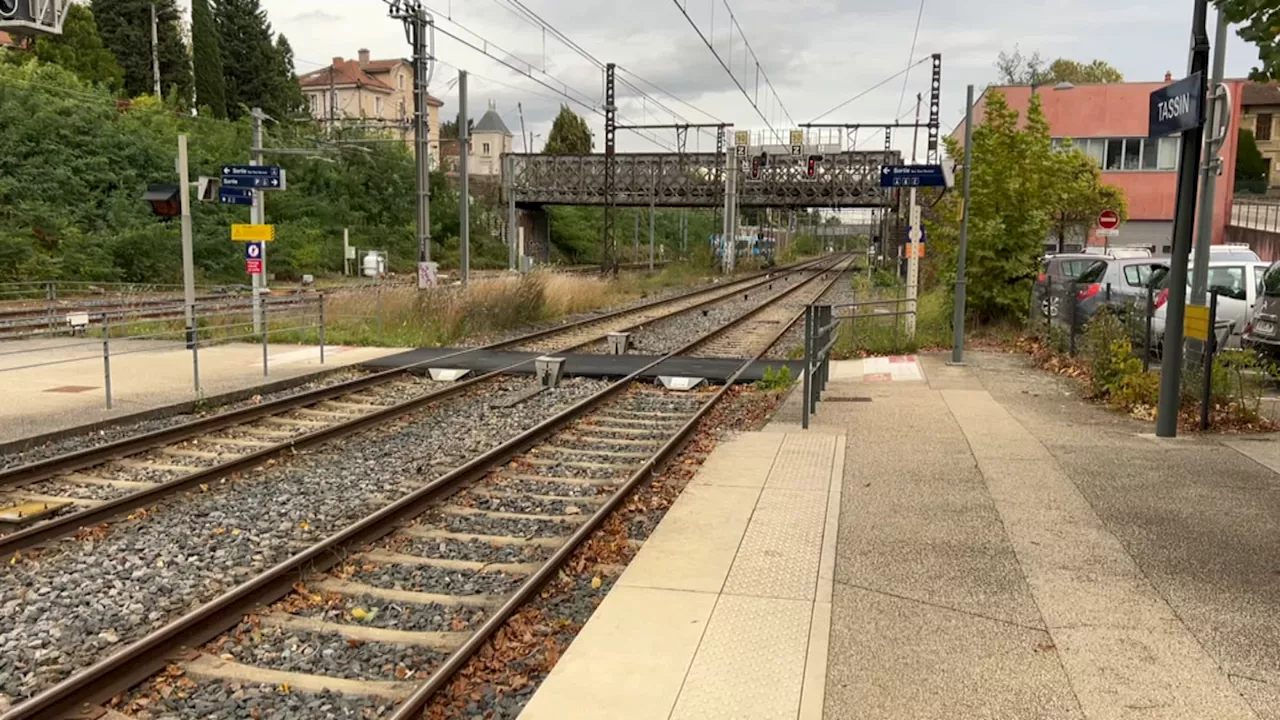 Dépression Kirk: le trafic ferroviaire fortement perturbé dans le Rhône après des chutes d'arbres