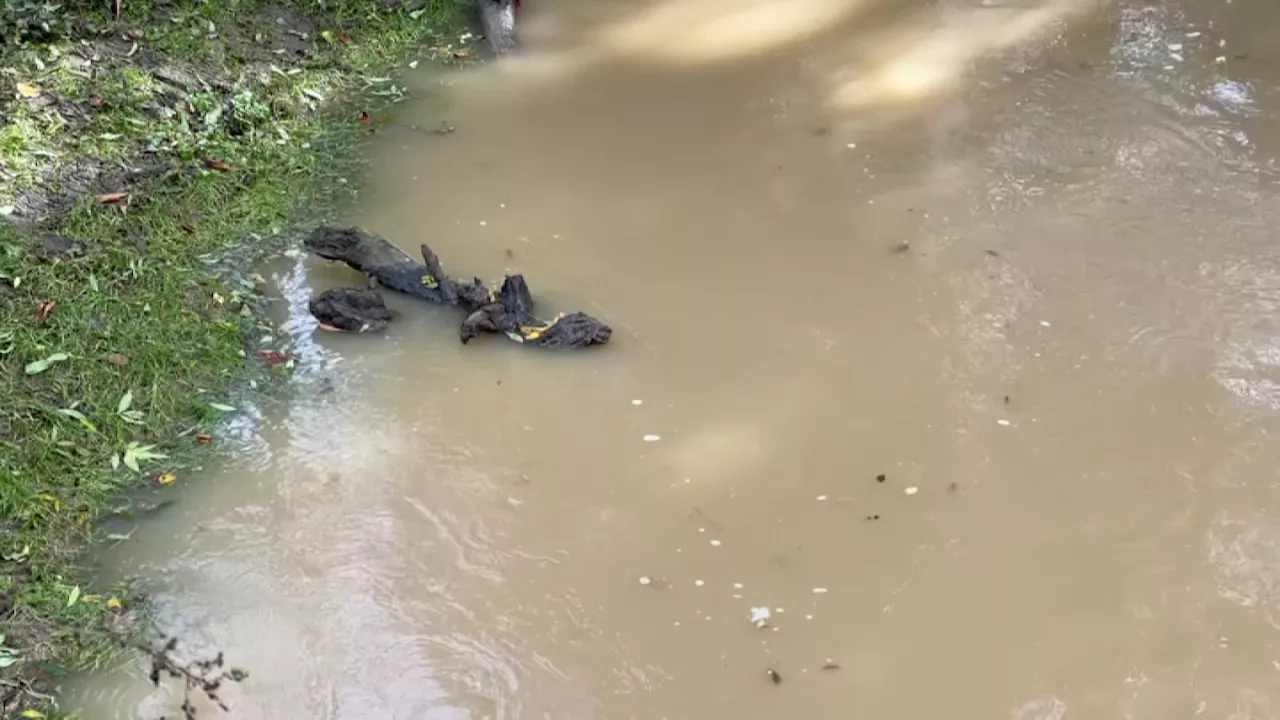 Dépression Kirk: les activités de plein air interdites jusqu'à vendredi midi en Seine-et-Marne