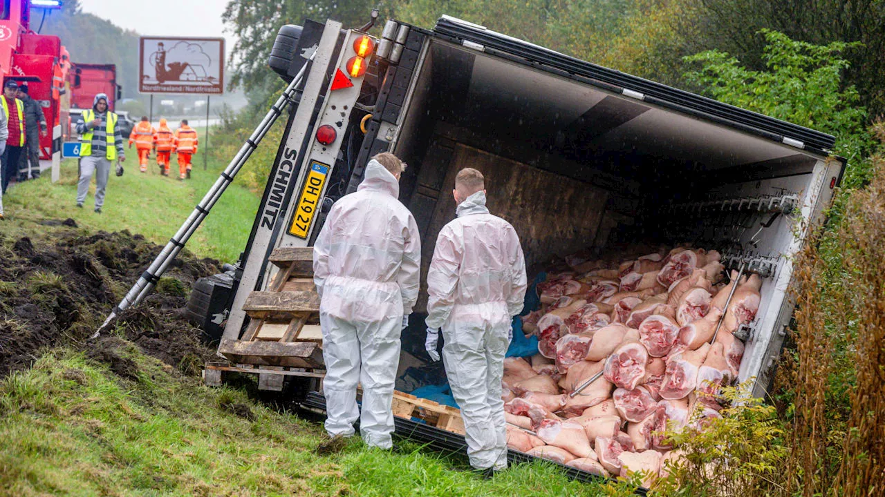 Unfall: Lkw mit Schweinekeulen umgekippt – A7 wird zur Schinkenstraße