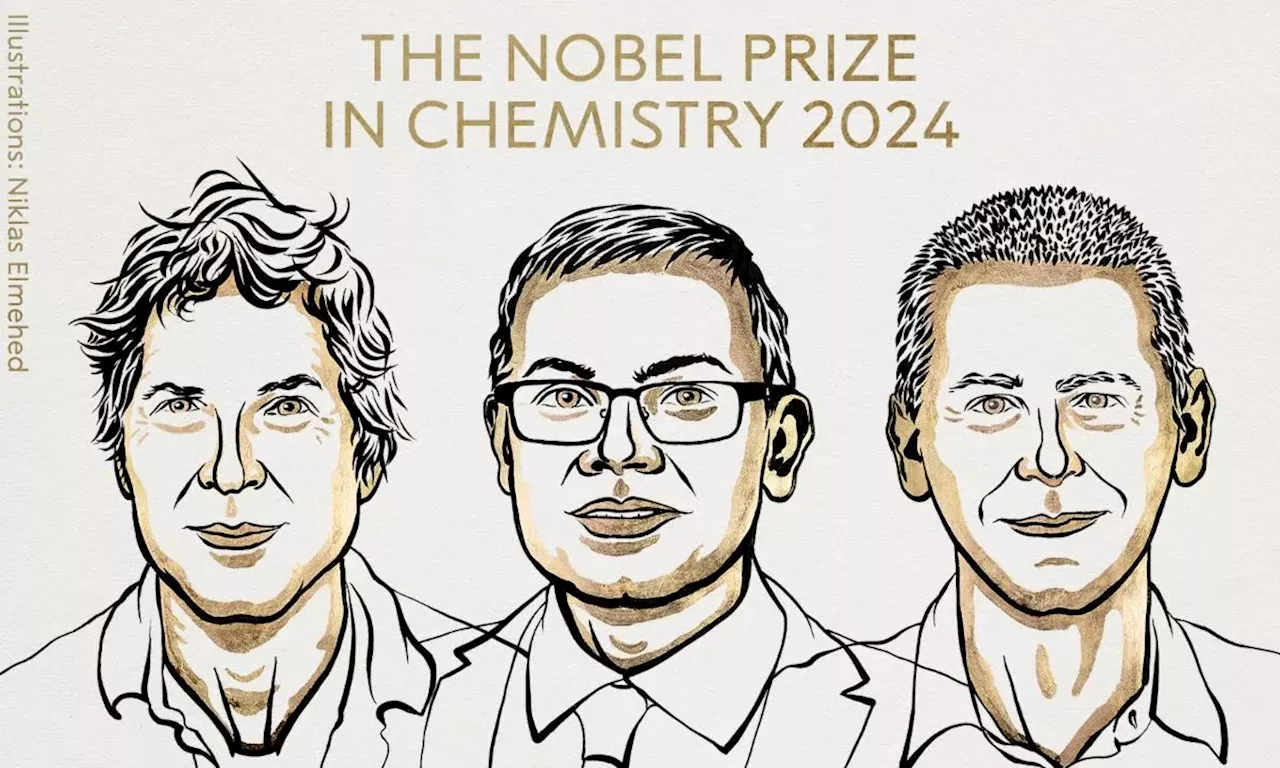 Nobel de Química para David Baker y John Jumper y Demis Hassabis