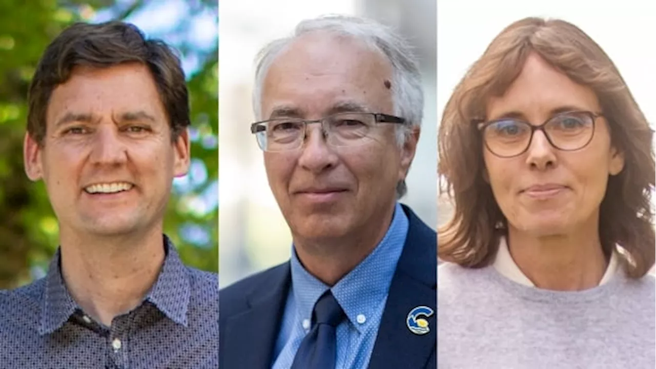 Who are David Eby, John Rustad and Sonia Furstenau? Profiles of the B.C. party leaders