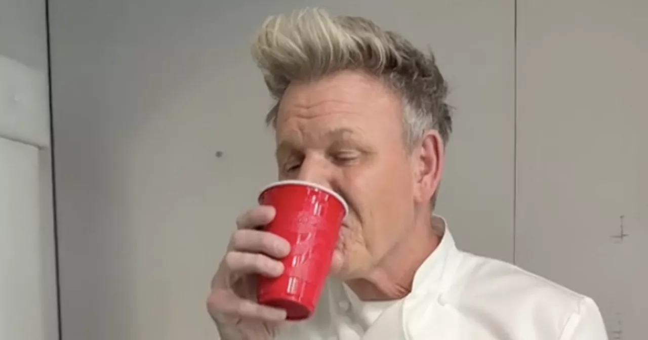 Gordon Ramsay tries Dua Lipa's viral drink and is left with big regrets