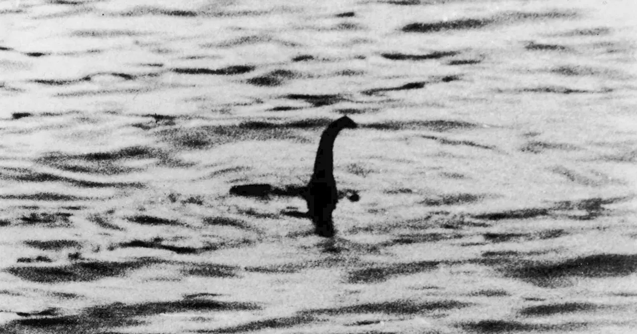 Loch Ness Monster hunter's chilling encounter as 'hump shape surrounded him'