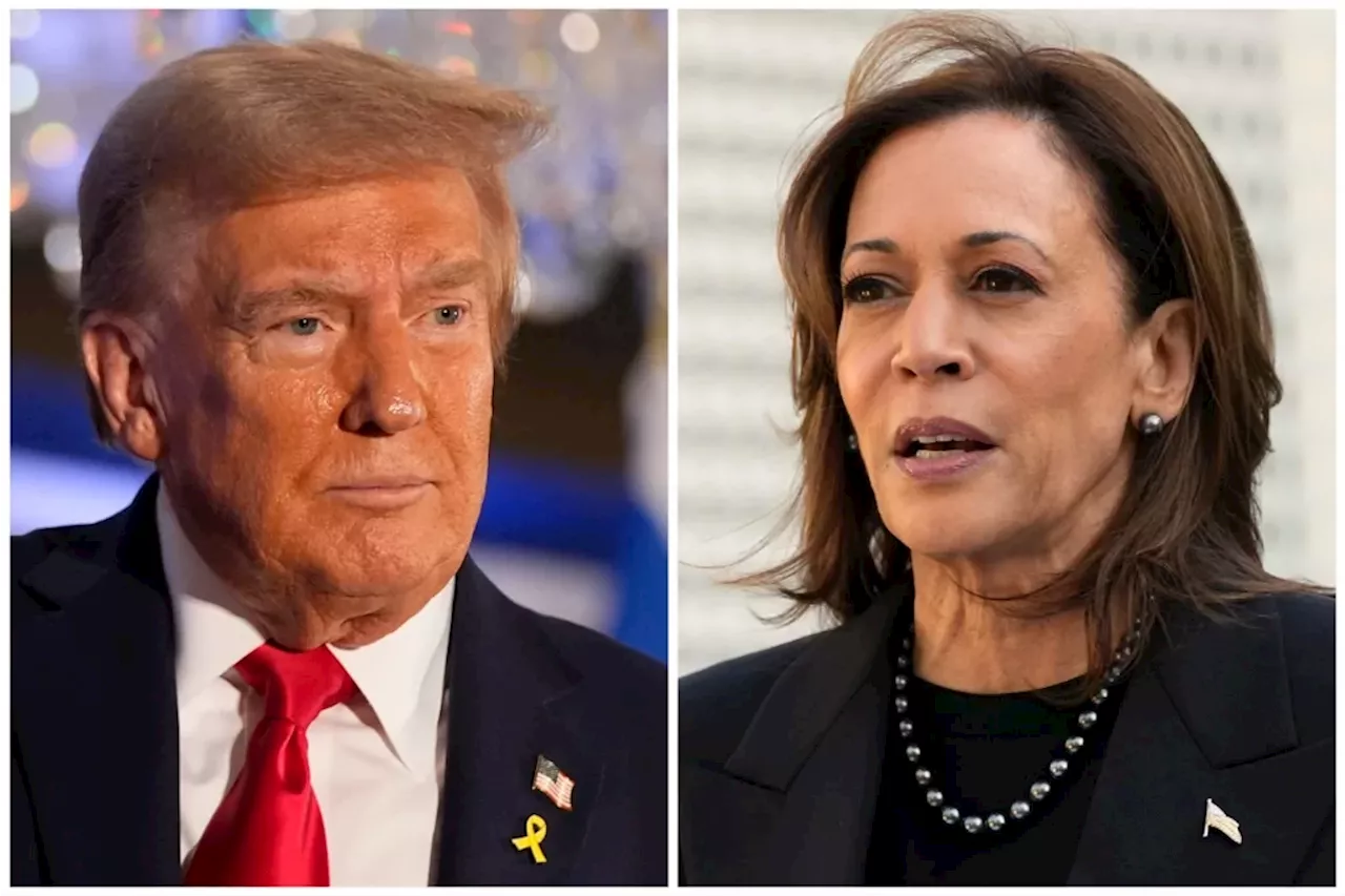 Trump surges ahead of Harris in election betting odds: What to know