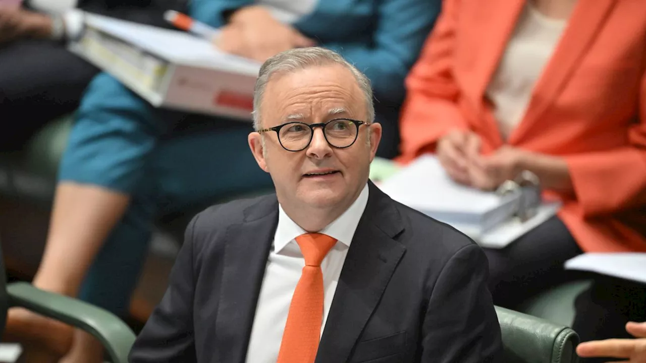 Australiens Premierminister: Albanese unterstellt Abgeordnetem Tourette