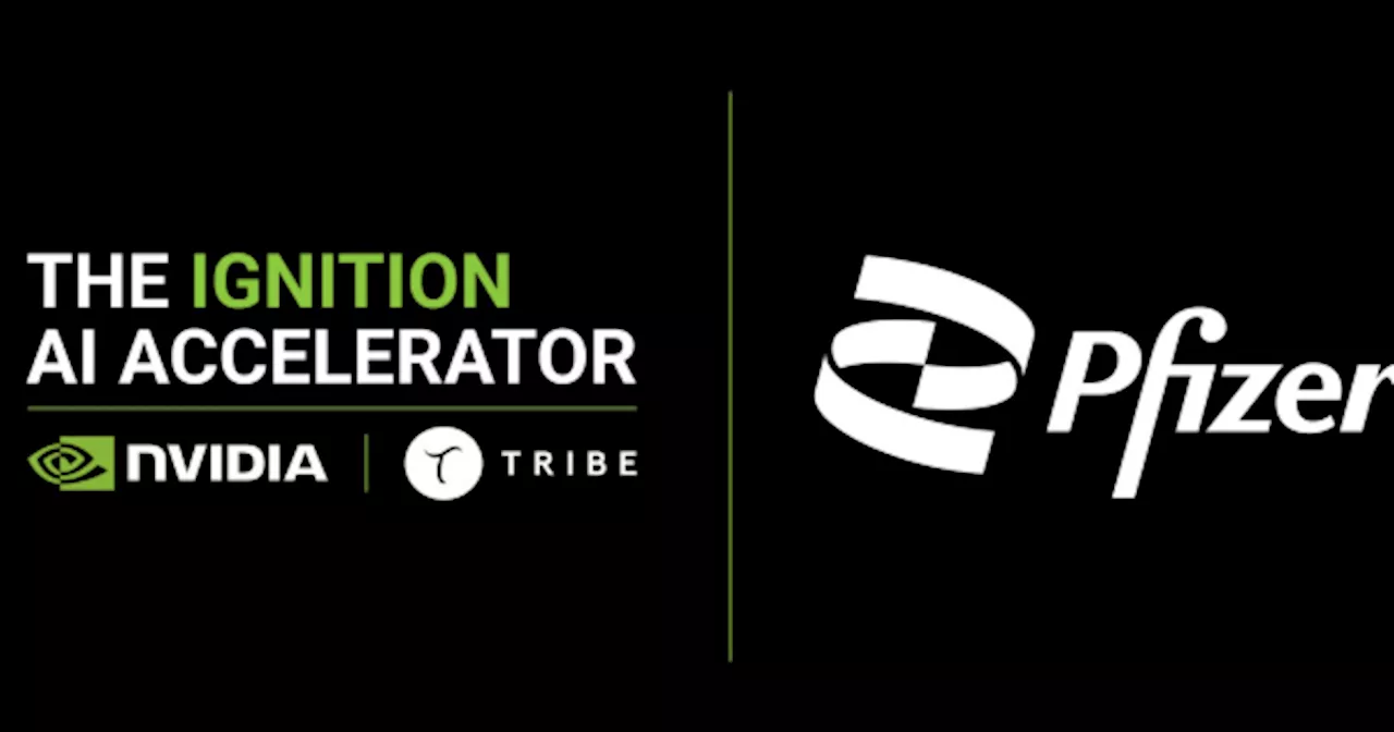 Singapore’s Ignition AI Accelerator partners Pfizer to advance biopharma sector with AI