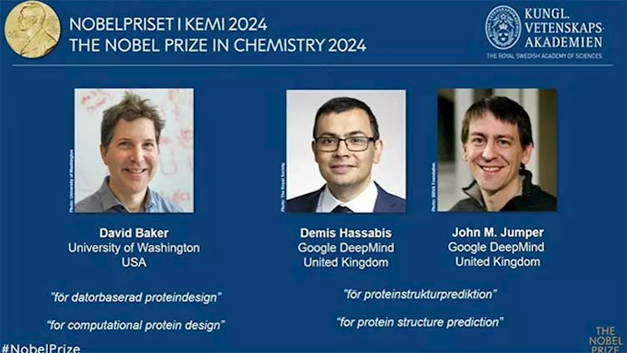 David Baker, Demis Hassabis, John Jumper win Nobel chemistry prize for work on proteins