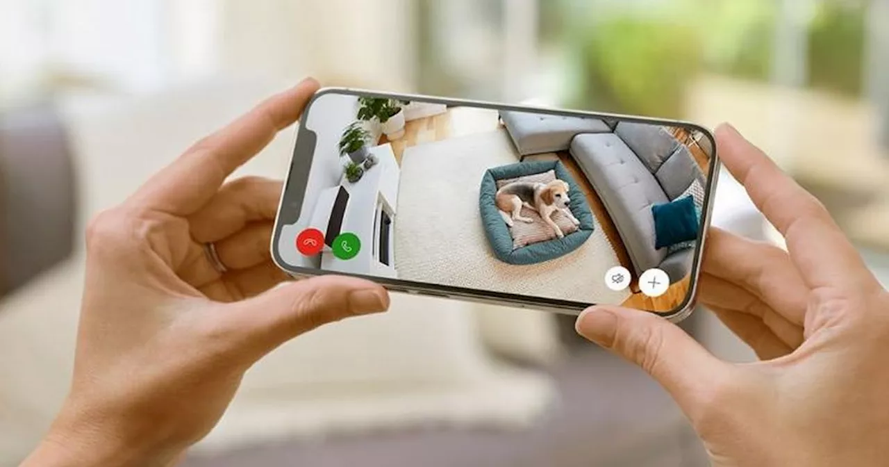 Amazon's Choice Ring indoor pet camera is cut to £24